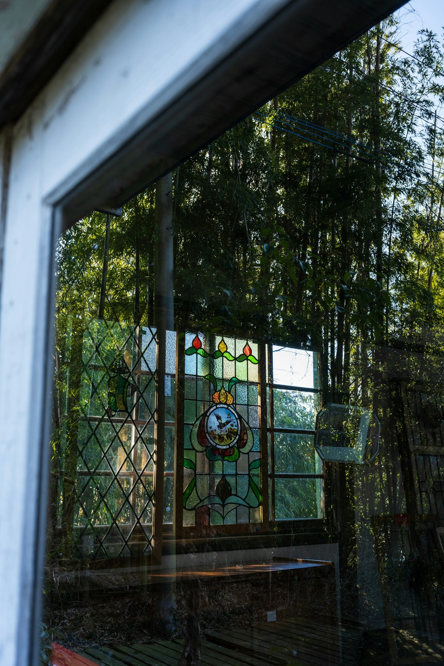 Transforming Spaces into Empowering Sanctuaries