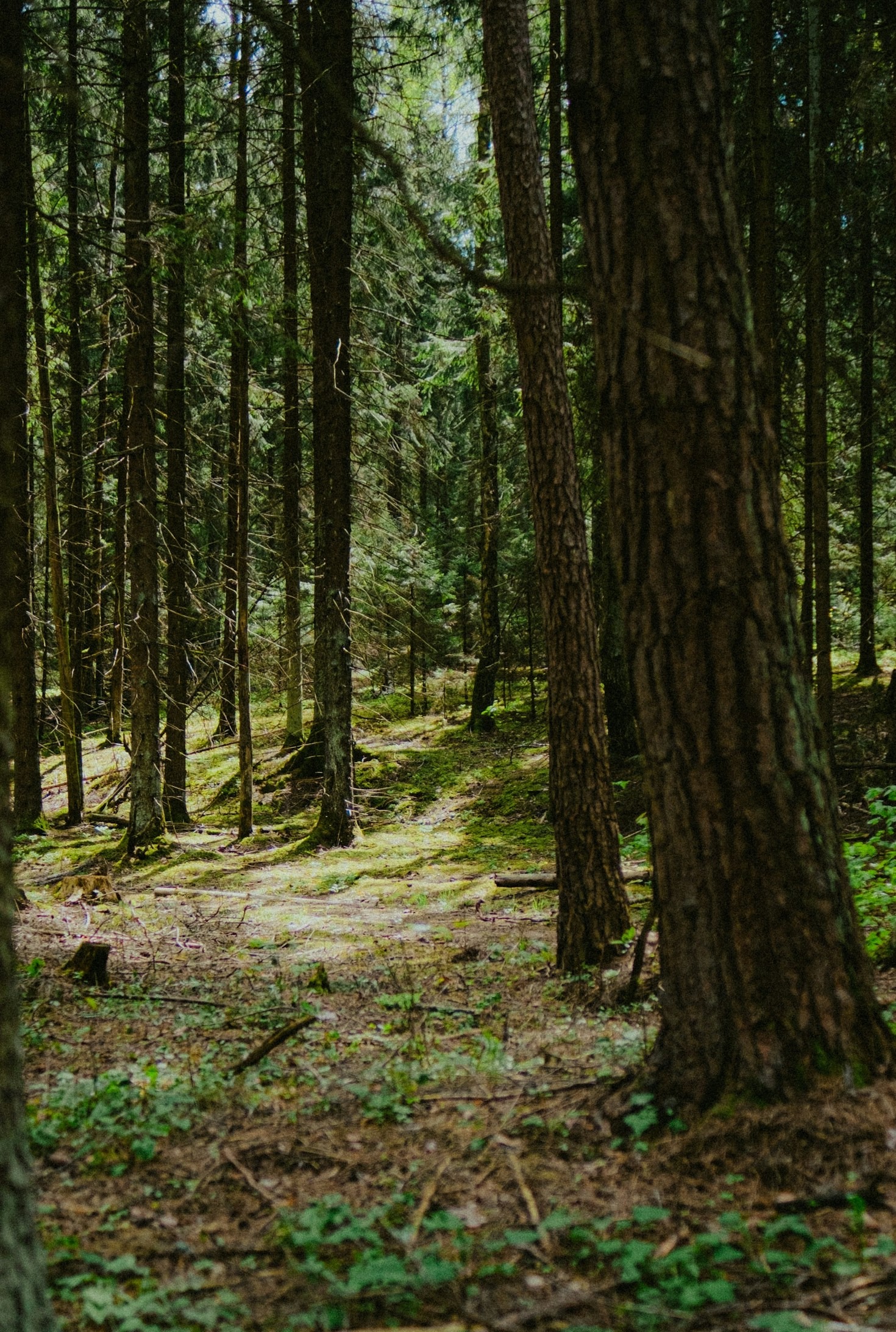 Exploring the Allure of Exclusive Sanctuaries